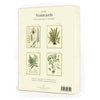 Boxed Notecard Set - Fern