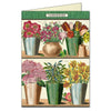 Boxed Notecard Set - Jardin