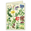 Boxed Notecard Set - Wildflower