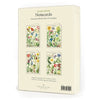 Boxed Notecard Set - Wildflower