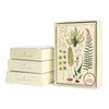 Boxed Notecard Set - Fern