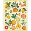 Citrus Vintage Puzzle