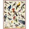 British Birds - Vintage Puzzle