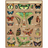 Entomology - Vintage Puzzle