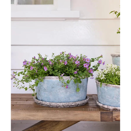 Sea Blue - Pot Plant & Saucer