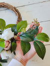 Rose & Camellia Wreath