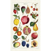 Tea Towel - Fruits