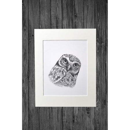 Owl Print from Original Pencil Drawing - Cathy Hamilton Artworks