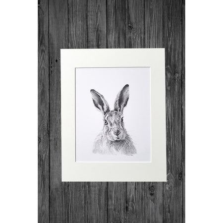 Hare Print from Original Pencil Drawing - Cathy Hamilton Artworks